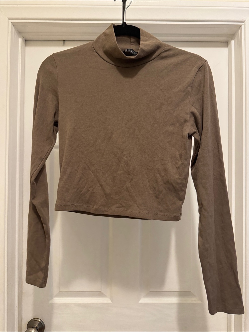 Zara Taupe Long-Sleeve Turtleneck Crop Top
